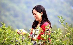 高清国语自产拍免费视频